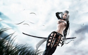 �������������� ������� ����������� ������ �� ����